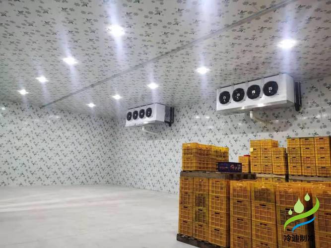 冷库安装周期需要多久？全面解析建造时间与影响因素